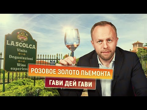 Что нужно знать о Гави дей Гави | Розовое золото Пьемонта | Дефицит шампанского | La Scolca