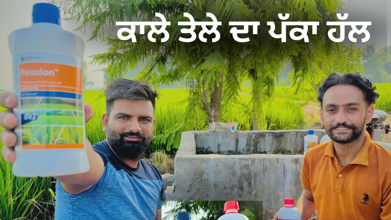 Pexalon DuPont insecticide/ Corteva/ Galileo fungicide DuPont/ 