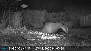 Barry Badger 25/12 1