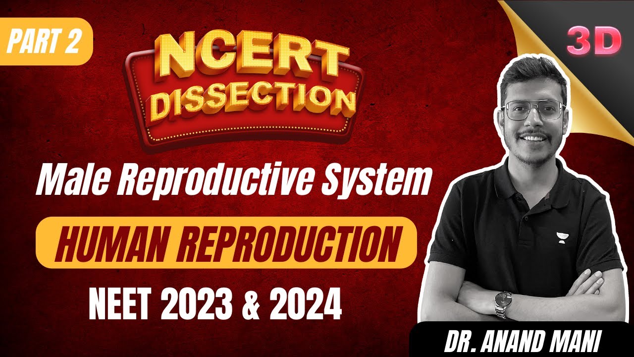 Human Reproduction - Part 2 | Class 12 | NEET 2023 & 2024 | Dr. Anand ...