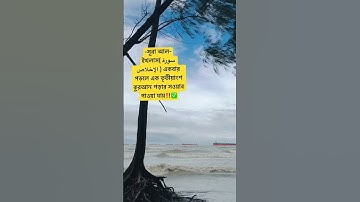 সূরা আল-ইখলাস( سورة الإخلاص ) পড়ার ফজিলত ✅😱 #islamicstatus #dua #দোয়া_ও_আমল #হাদিস #bd #oc #dua