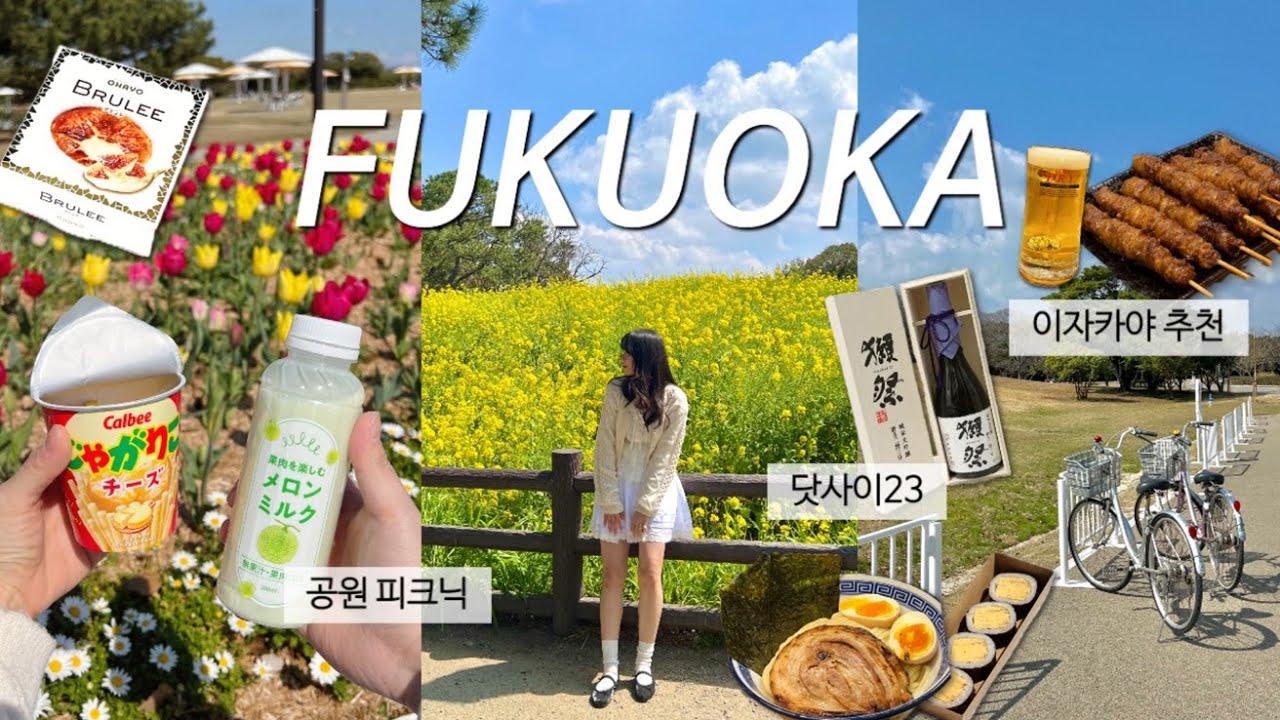 Vlog | 파워 J의 후쿠오카 여행 브이로그 ep.2 | 근교 여행지 추천🩵 우미노나카미치 해변공원에서 피크닉🍱 (닷사이23, 멘야카네토라, 이자카야 추천)