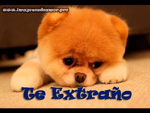 El ProfetaRD - Te Extraño (Audio Oficial)