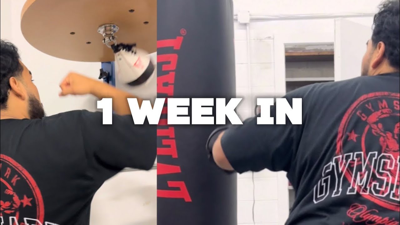 1 WEEK into BOXING. (FULL TRAINING) - YouTube