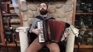 NEW Dark Chocolate Beltuna Studio III Compact Piano Accordion LMM 37 96 $5499