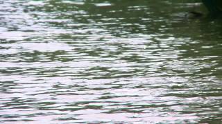 Download Video đã Chỉnh Sửa Của Tôi Video MP3 Video đã Chỉnh Sửa Của Tôi