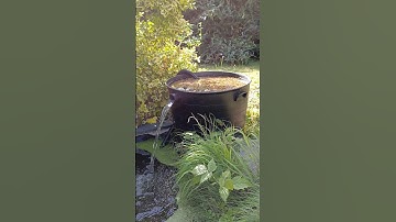Get Crystal Clear Water ~Pond Filter Build~