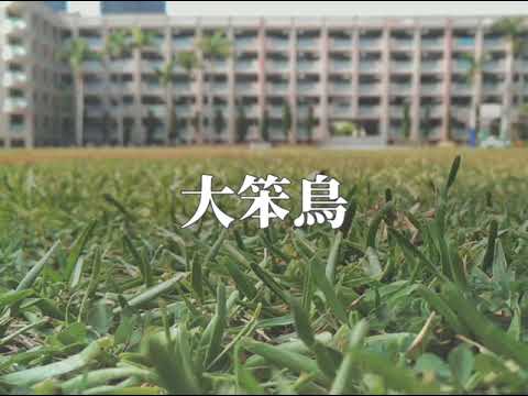 高雄女中72屆畢業歌候選 - 大笨鳥
