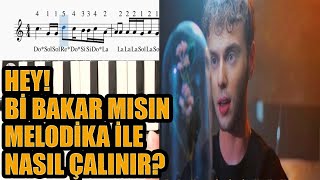 Berk Coşkun - Hey! Bi' Bakar mısın? Melodika Notaları(Tüm ler) Resimi