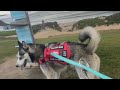 Naomi Star is live with Blue Eyed Bailey Boy Leading Me To Cronulla Beach. It Was His best Run Ever!