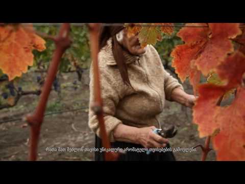 შატო მუხრანი | მეღვინეობა