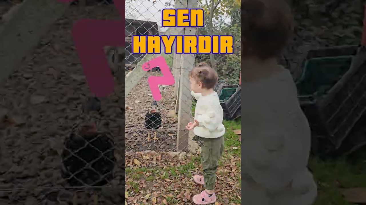 Horozla Laf Dalaşına Giren Minik Prenses! 😂 (Sondaki Kaçış Şaka mı?) #shorts