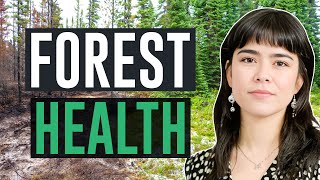 The Future of Forest Health