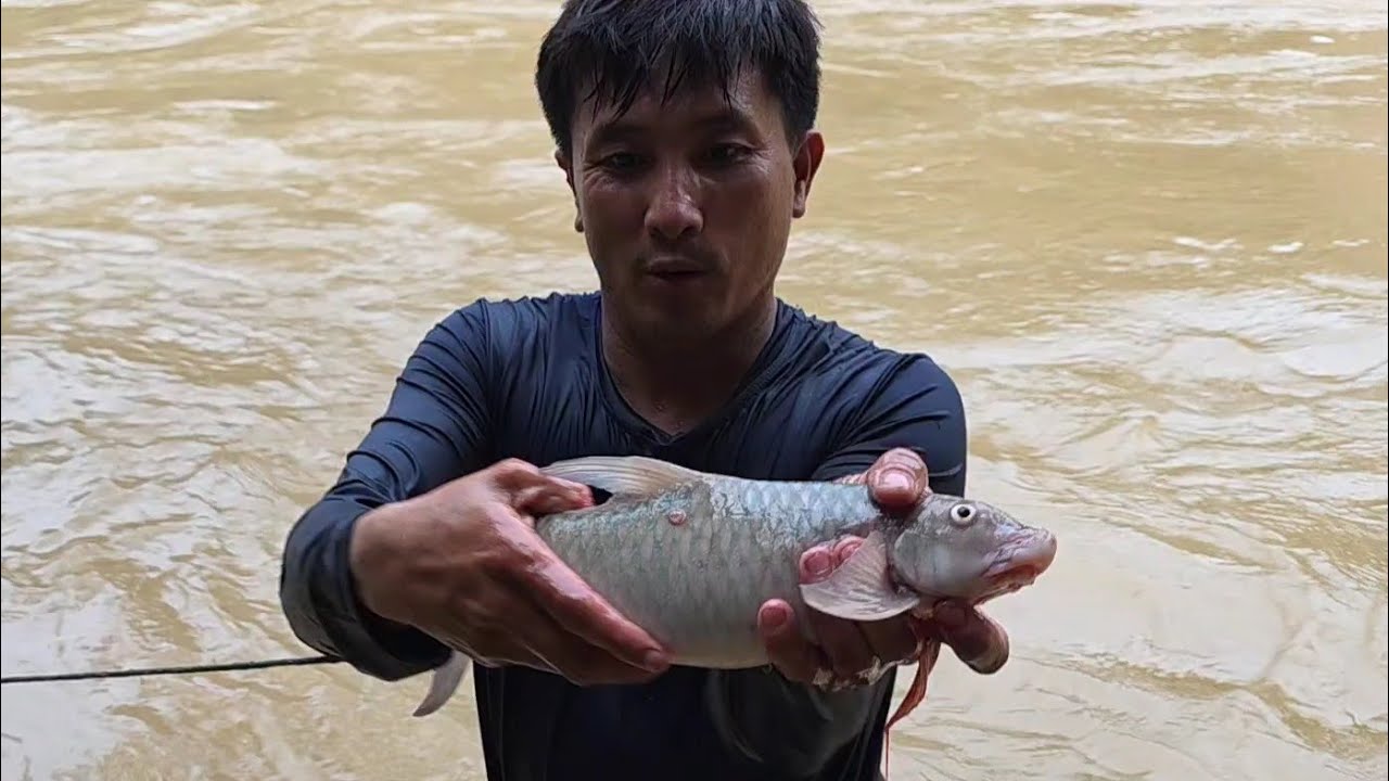 Ntau Tau Ntses Keem Loj Kawg 