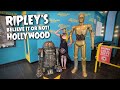 Ripley's Believe It Or Not! Hollywood   4K