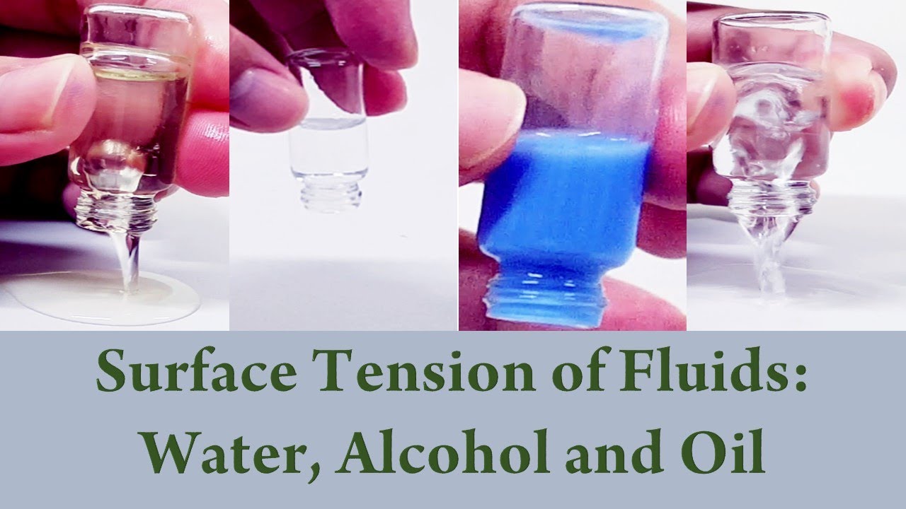 Surface tension of Water, Alcohol, and Oil | Science Experiment - YouTube