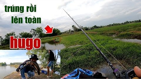 Câu Lure Cá Lóc ✅ Câu Cá Lóc Đầu Năm 2023 Lên toàn Hugo Cực Phê | Tâm Râu Vlog #203