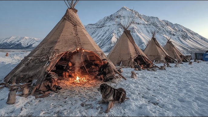 Икемді гимнаст кискасын жалайды