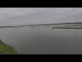 Bolsa chica land trust live stream