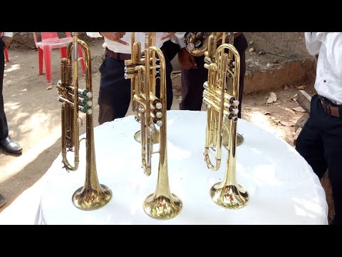Trumpet easy lesson in Hindi 🎺 | धा पट्टी।(Dha