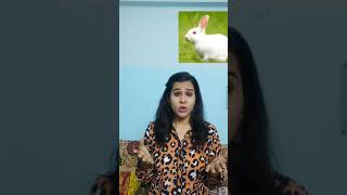 Difference between Hare and Rabbit|Hare Vs Rabbit|#shortsvideo #differencebetween