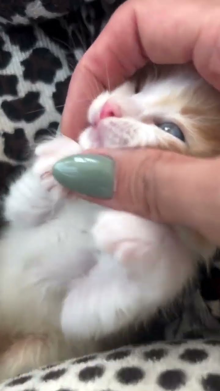Je t'aime maman très fort ????????? #cat