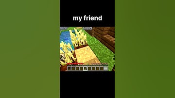 Minecraft other friend and my friend 💀🚀#shorts #ytshorts #crash server