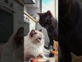 He lost himself || forkan tech. #viral #funny #funnypictures