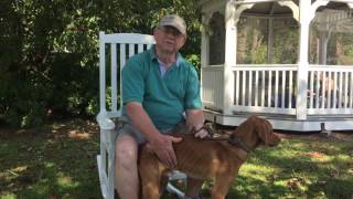 PSA: Reuniting With Your Pet After a Flood