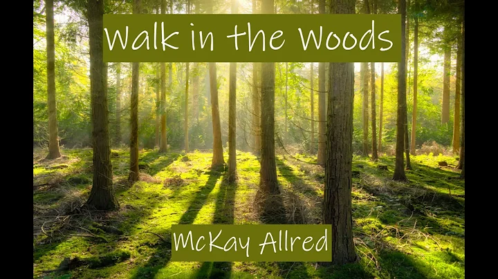 Walk in the Woods - Quiet Meditation Music - New A...