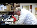 Alberta-based scientist awarded the Nobel Prize