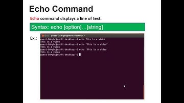 Basics of Shell Scripts