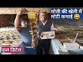 घर पर मोती की खेती, कम जगह में लाखों कमाओ । pearl farming at home । kisan farming