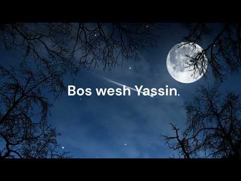      بص وش ياسين  