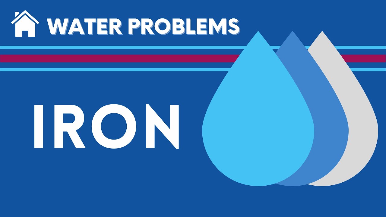 Is There Iron In Dates Is There Iron In Dates