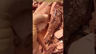 Red Shalestone Ns Asmr Crunch