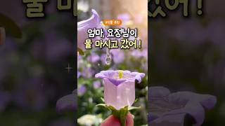 요정의 꽃👧🏻🪴🧚