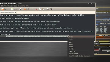 Modify the Indicator Applet in Backtrack 5 or Ubuntu.