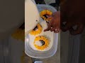 Preserving sunflowers for a resin pour. #sunflower #sunflowers #flowers #resinflowers #tutorials