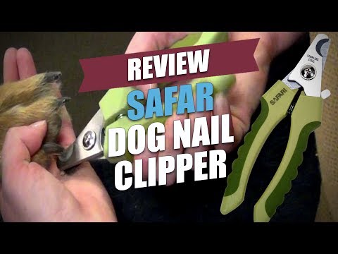 Safari Dog Nail Clipper Review