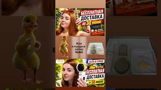 Бесплатная доставка или подарок