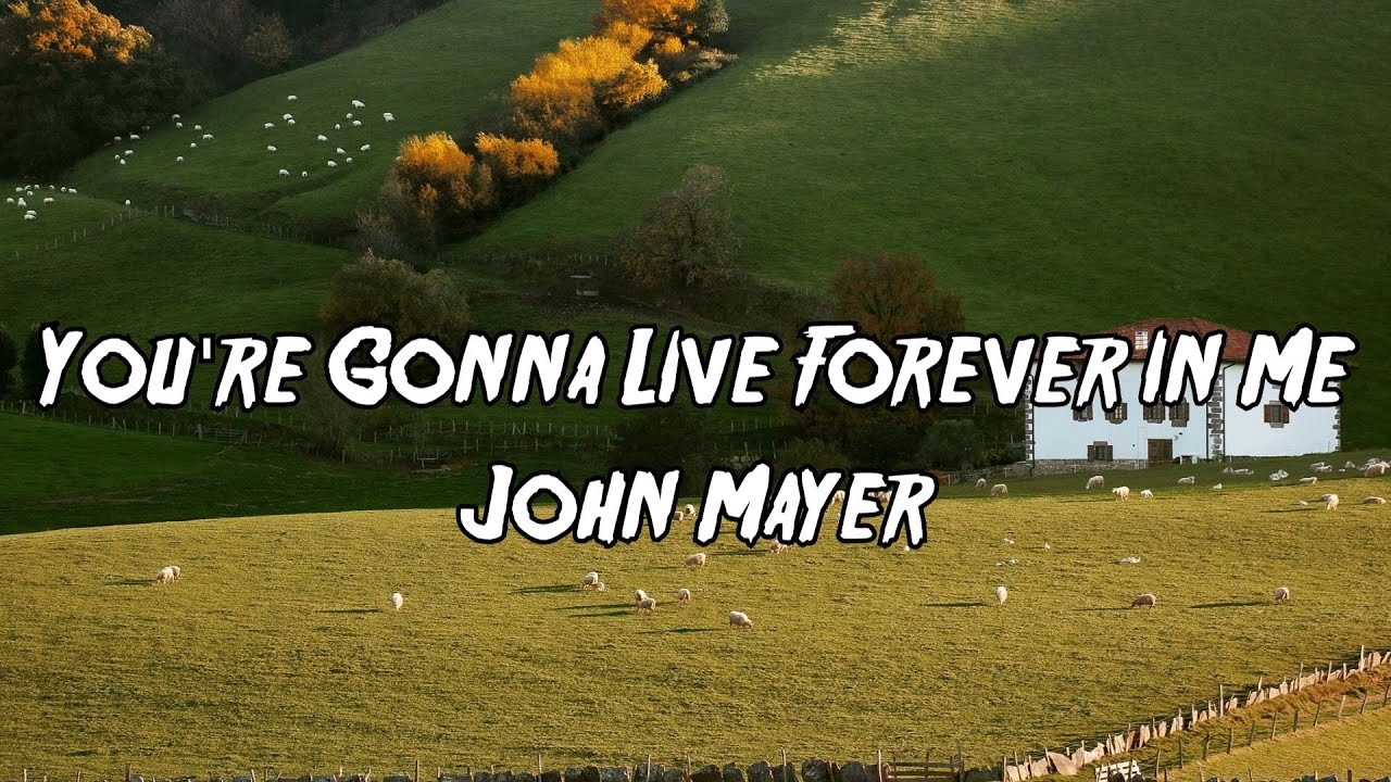 John Mayer You're Gonna Live Forever in Me (Lyrics) YouTube