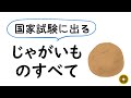 管理栄養士国家試験に出る「じゃがいも」のすべて