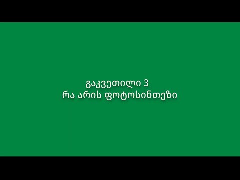 გაკვეთილი 3. ფოტოსინთეზის მნიშვნელობა
