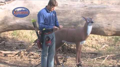 AroJac Tool by HAMSKEA Archery Solutions