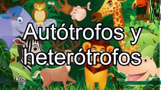 Autótrofos y heterótrofos. Canal: Nivel de Primaria. - thptnganamst.edu.vn