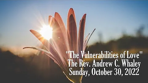 The Vulnerabilities of Love