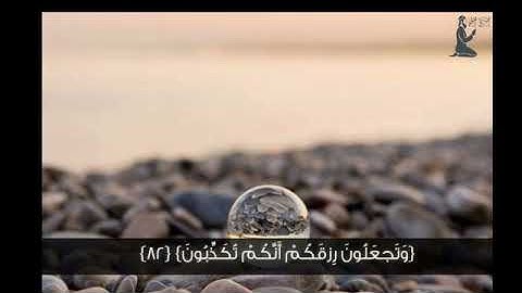 سورة الواقعة بصوت القارئ المتميز بصوته الرائع والجميل صلاح مصلي حفظه الله