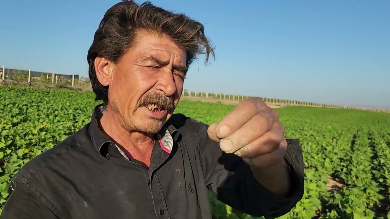 BARBUNYADA ÜRÜNLERİMİZLE SÜPER GELİŞİM VE ÇİFTÇİNİN MUTLULUĞUNU İZLEYİNİZ