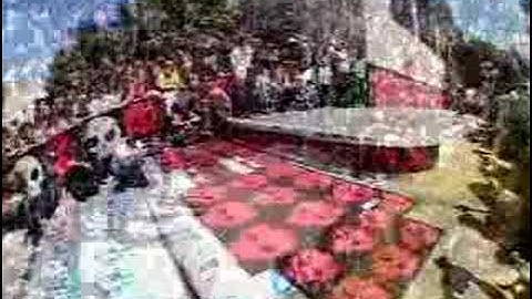 andrew reynolds fs flip wallenberg